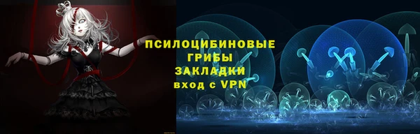 крисы Билибино