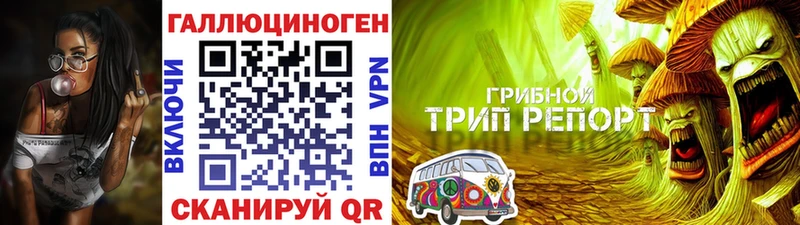 Галлюциногенные грибы Psilocybine cubensis купить наркотик Котельники